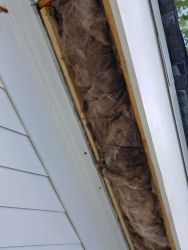 Bee Proofing Eaves Marietta - bee removal services in marietta, georgia