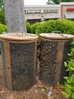Huge Caputered Honey Bee Swarm From Panera Bread Parking Lot Ready For Relocation