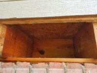 Entire Honey Bee Nest  Removed From Apartment Floor Joist