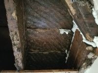 Floor Joist of a Columubus Church After Honey Bee Colony was Removed