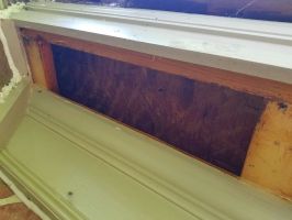 Honey Bees Removed From Eaves