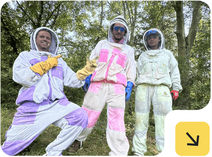 Bee Inspections Performed By SouthEast Bee Removal